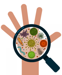 Pathogens germs bacteria hygiene microscopic magnifying glass hand, Credit: Shutterstock - Pogorelova Olga